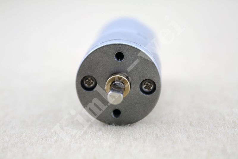 12V DC 1000RPM Mini Torque Gear Box Motor Hobby  