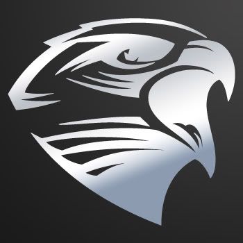 Vinyl Decal Sticker Eagle Hawk Truck motorbike W7X49  