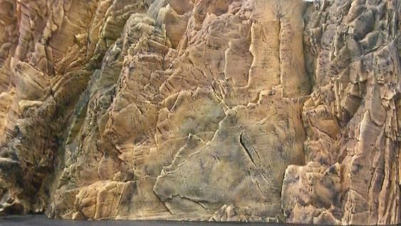 AQUATERRA Naturalistic 3D Aquarium Background Canyon Rock 48x20 