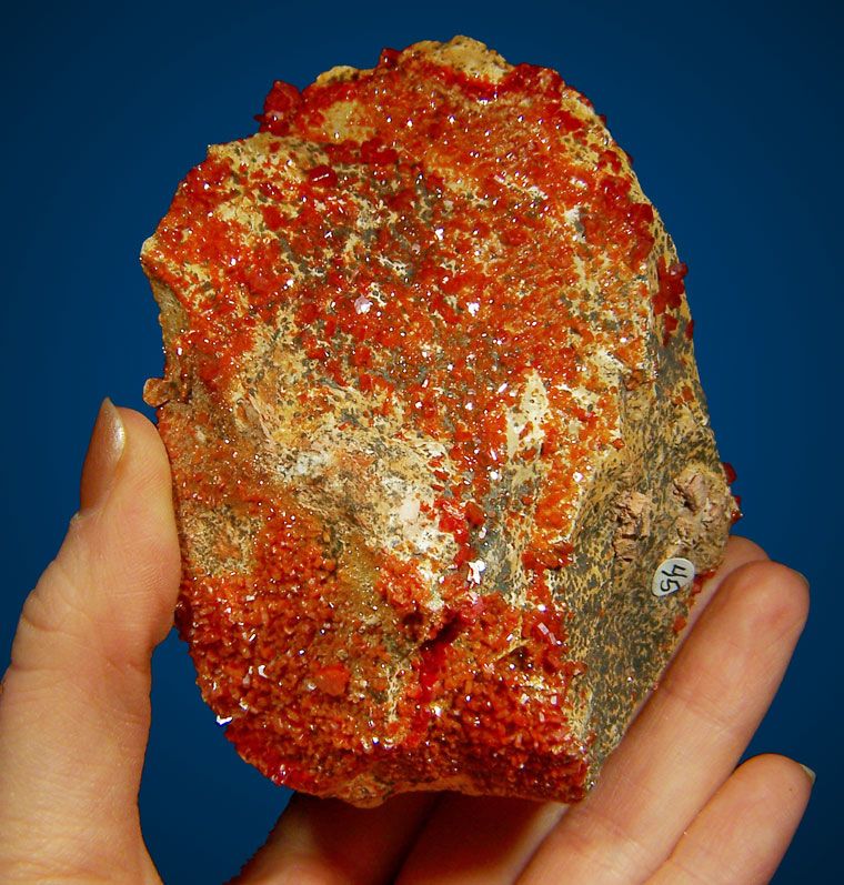 WHOLESALE FLAT VANADANITE Crystals 12@$15 Morocco  