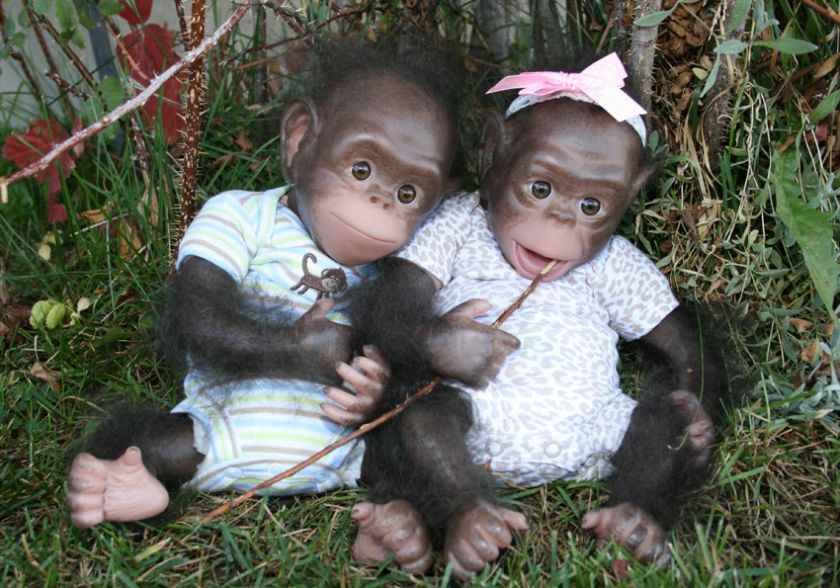   CICI are made from Silicone Vinyl, in an adorable Baby chimp color