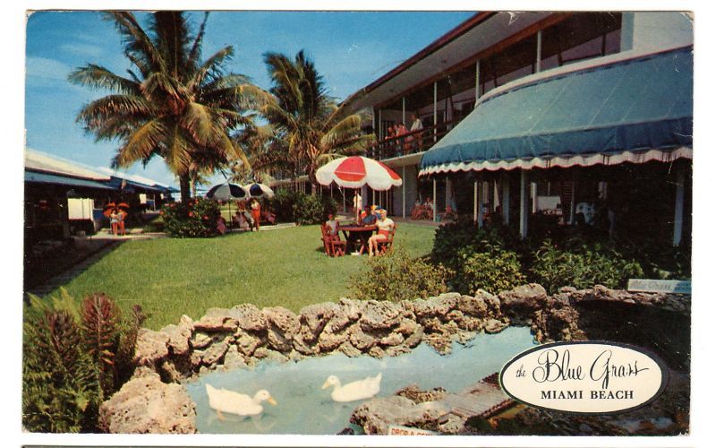 1961 postcard The Blue Grass Hotel, Miami Beach  