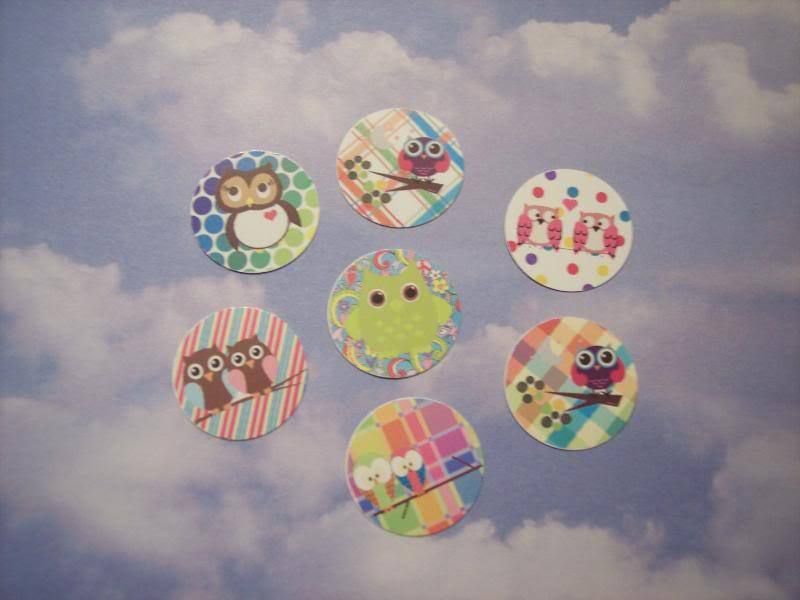 50 Precut Cute Colorful Owls Bottle Cap Images 1 Inch  