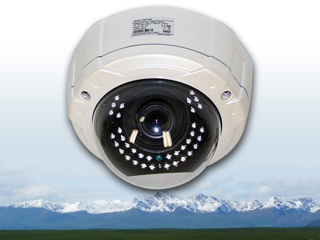 Sony CCD 700TV Line Infrared Vandal Proof Weatherproof Dome 