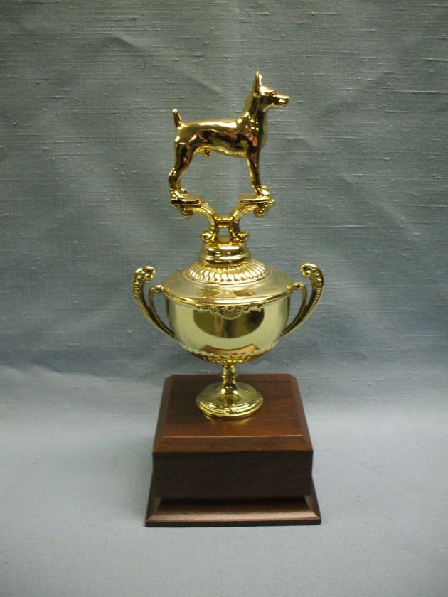   male dog trophy wide metal cup wood block award personalized  