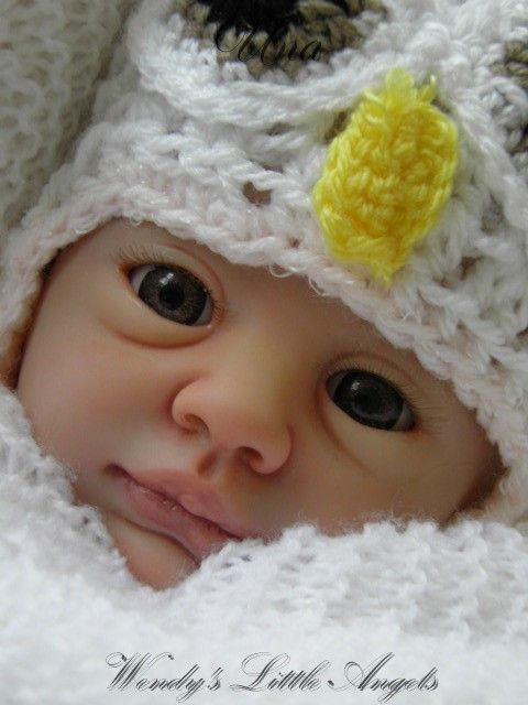Realistic Reborn Baby Boy Doll Shaun from a Honey sculpt by Donna 