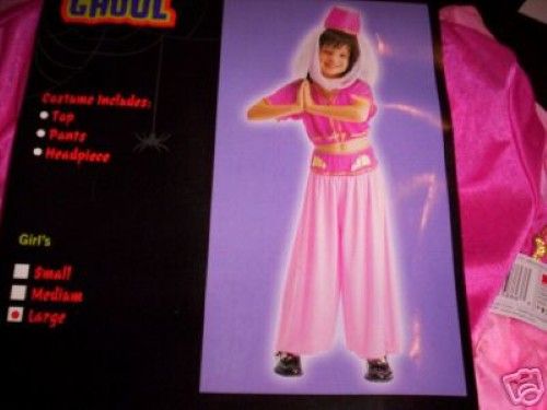 Genie Harem Pink Costume Dress up NWT 10 12  