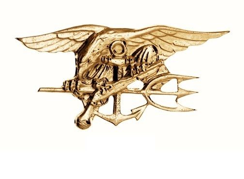 GOLD NAVY SEALS PIN , US NAVY INSIGNIA PIN  