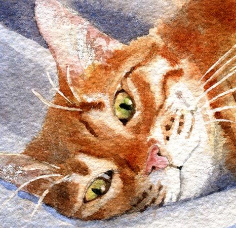   painting of a facebook friends orange Tabby. Isnt he darling
