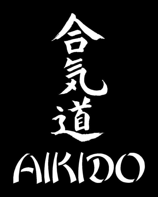 AIKIDO KANJI Vinyl Decal 5 x 6.5 (11 Colors)  