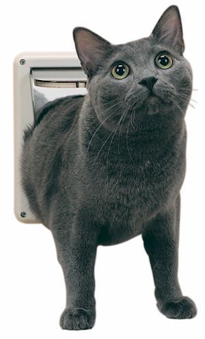 PETSAFE DELUXE CAT DOOR REPLACEMENT LOCKABLE FLAP  