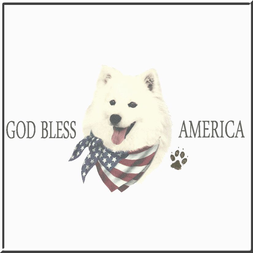 God Bless America U.S.A. American Eskimo Dog Flag SWEATSHIRT S,M,L,XL 