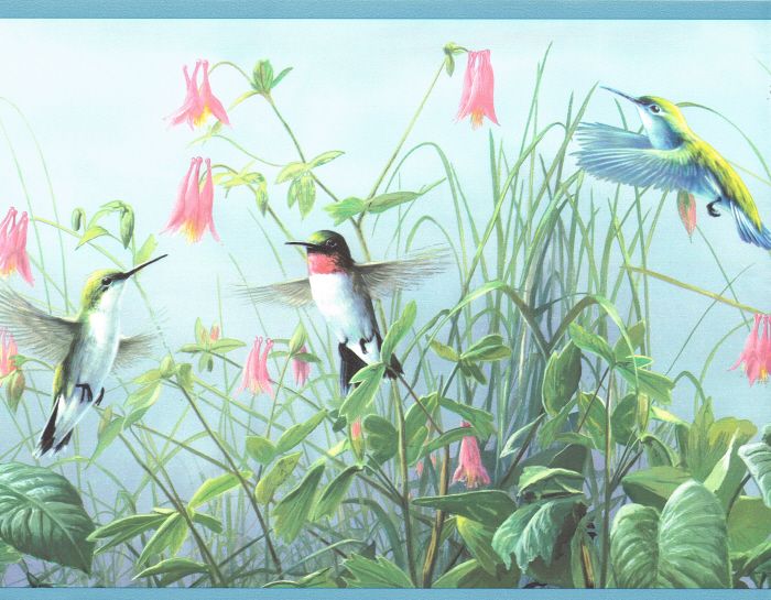   HUMMING BIRDS IN THE FLOWER GARDEN 9  Wallpaper bordeR Wall  