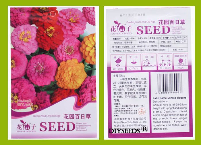 Garden Youth And Old Age Ornamental Flower Seed Garden decor 50pcs 1 