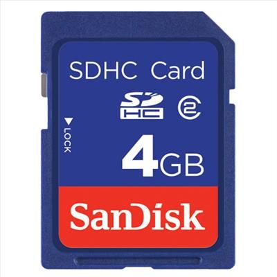 4GB Memory Card For Canon PowerShot SX230 HS G12 SD1000 SD1300 IS SX30 