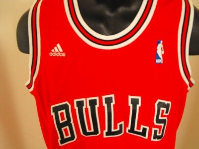 NEW Chicago BULLS XLarge XL SWINGMAN Adidas Sewn REV 30 Blank Team 