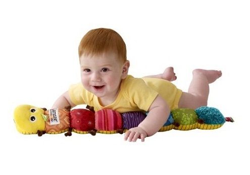  Inchworm baby development toy song rattles squeaks crinkles jingles